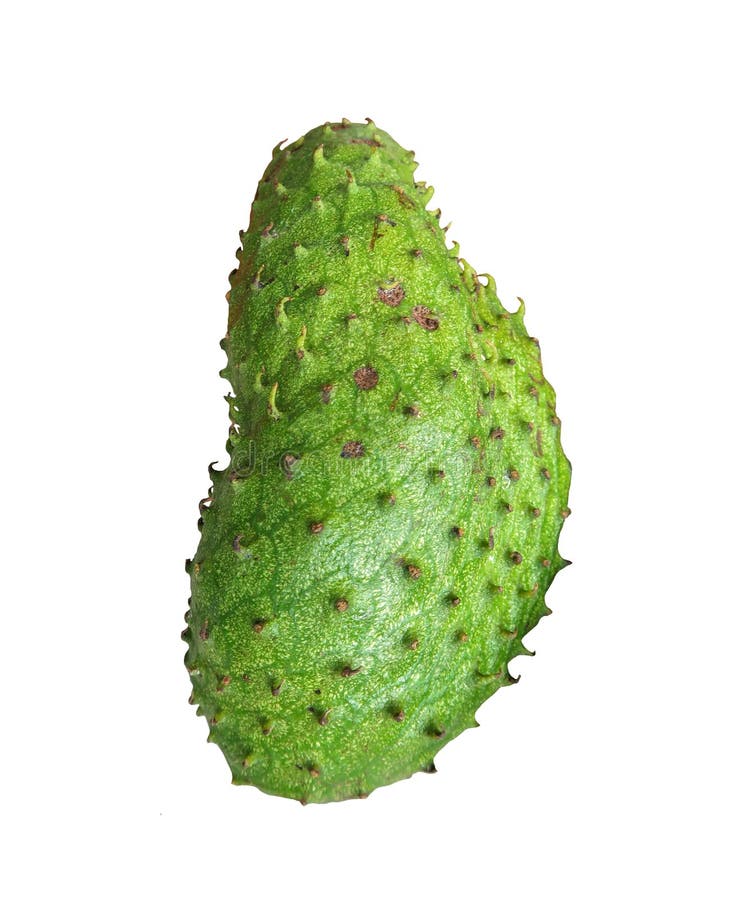 611 Guanabana Fruit Photos Free Royalty Free Stock Photos From Dreamstime 611 Guanabana Fruit Photos Free Royalty Free Stock Photos From Dreamstime