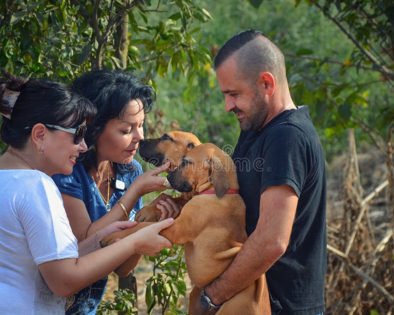 South African Mastiff breeder holds two brown puppies stock photography South African Mastiff breeder holds two brown puppies stock photography