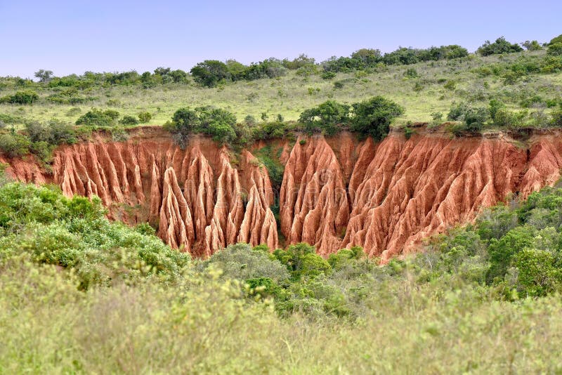 Típico sur verticalmente suelo erosión en medio de Salvaje verde pradera, geológico ensayo en cual arcilla materiales Ellos son lejos transportado de acuerdo efectivo semejante cómo viento o Agua.