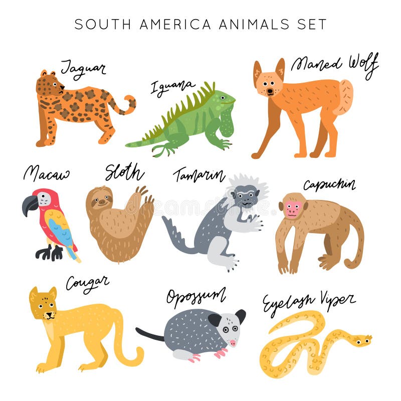 SOuth America Animals Set Vector Stock Illustration - Illustration of  macaw, atlas: 168108867