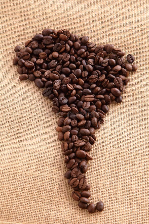 South America Continent Made with Coffee Beans Stock Photo Image of
