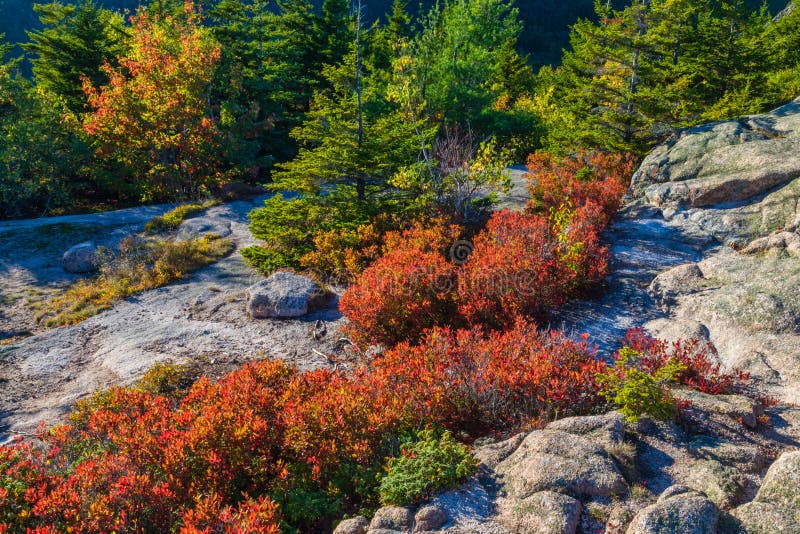 South Bubble Trail, Acadia National Park, Maine. South Bubble Trail in Acadia National Park on Mouint Desert Island, Maine royalty free stock photo South Bubble Trail, Acadia National Park, Maine. South Bubble Trail in Acadia National Park on Mouint Desert Island, Maine royalty free stock photo