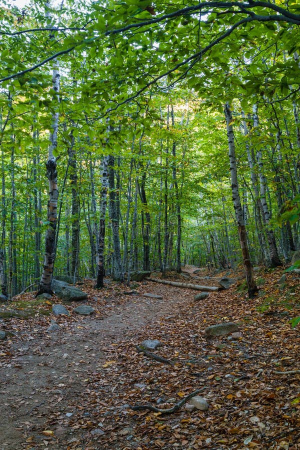 South Bubble Trail, Acadia National Park, Maine. South Bubble Trail in Acadia National Park on Mouint Desert Island, Maine stock photography South Bubble Trail, Acadia National Park, Maine. South Bubble Trail in Acadia National Park on Mouint Desert Island, Maine stock photography