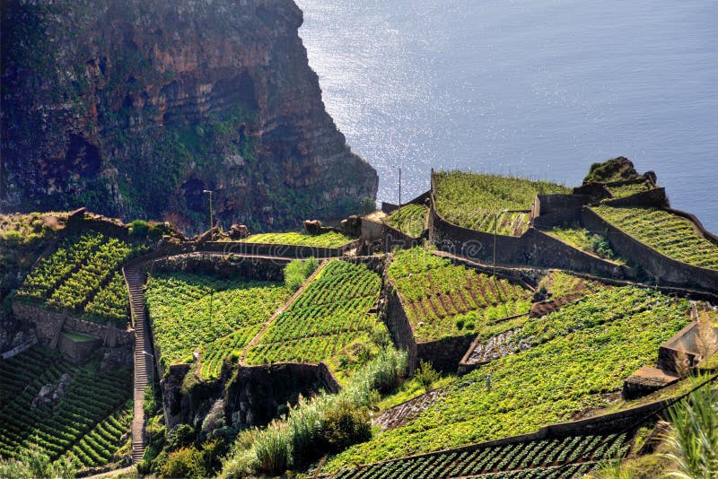 South coast of Madeira island