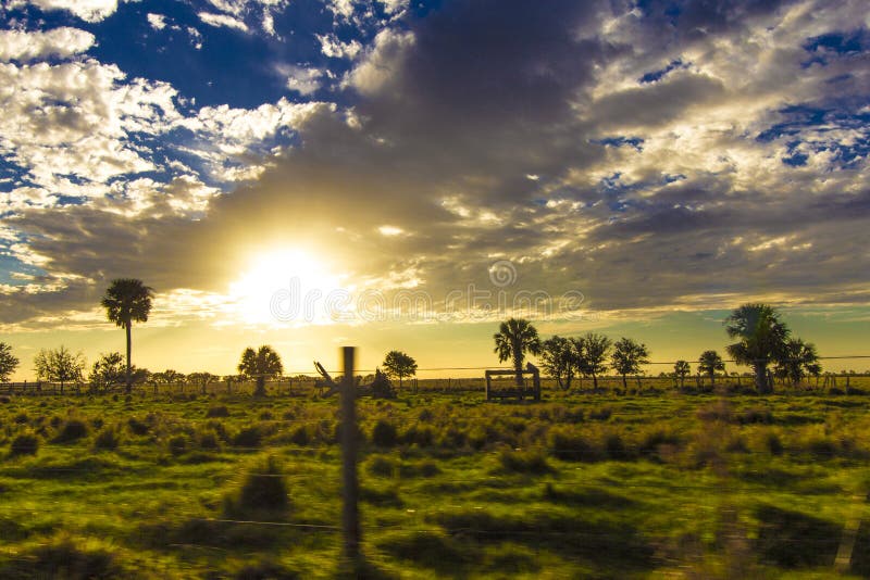 South Florida Ranchland in Evening Stock Image Image of agriculture