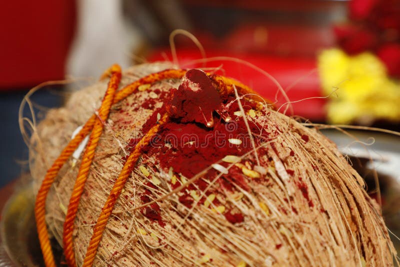 Closeup coconut with mangalsutra, South Indian wedding. stock image Closeup coconut with mangalsutra, South Indian wedding. stock image