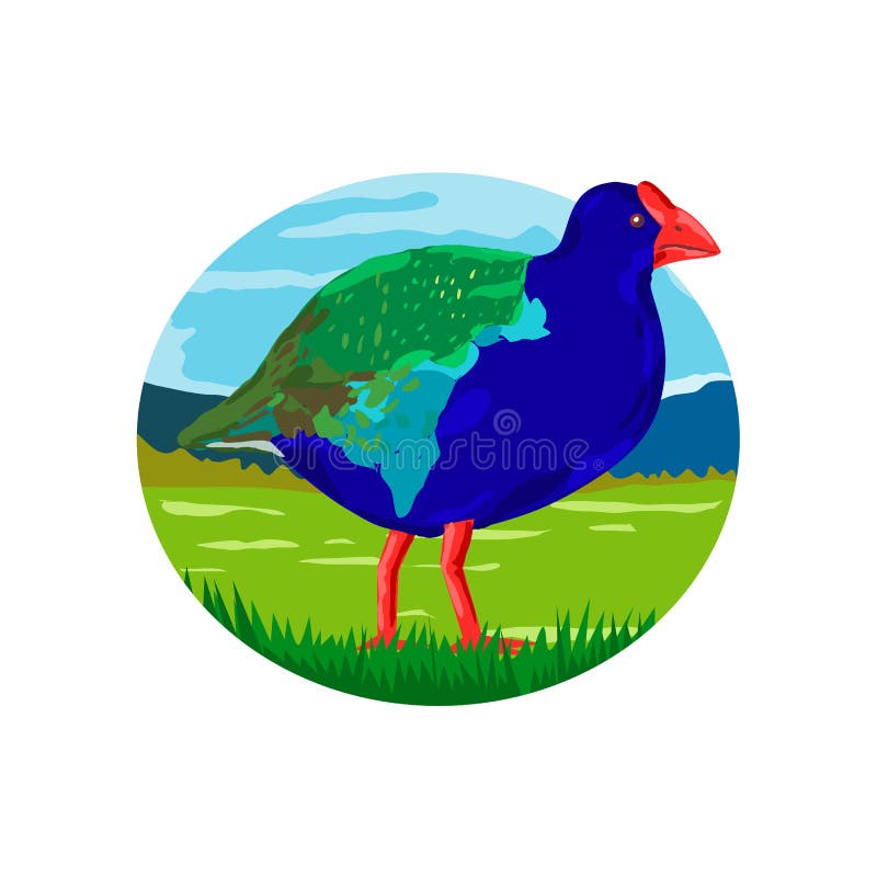 Takahe Stock Illustrations – 40 Takahe Stock Illustrations Takahe Stock Illustrations – 40 Takahe Stock Illustrations