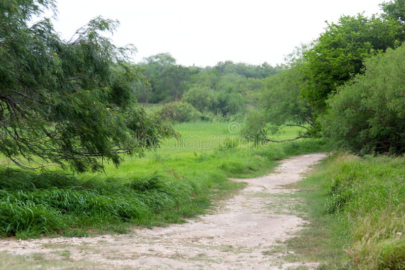 South Texas Nature Trail stock image. Image of recreation 176458463