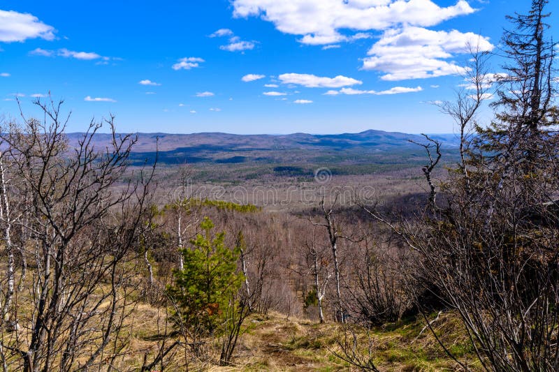 South Ural Mountains with a Unique Landscape, Vegetation and Diversity ...