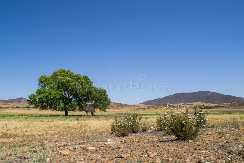 The Southern California Landscape. Stock Photo Image of environment, background 41364498