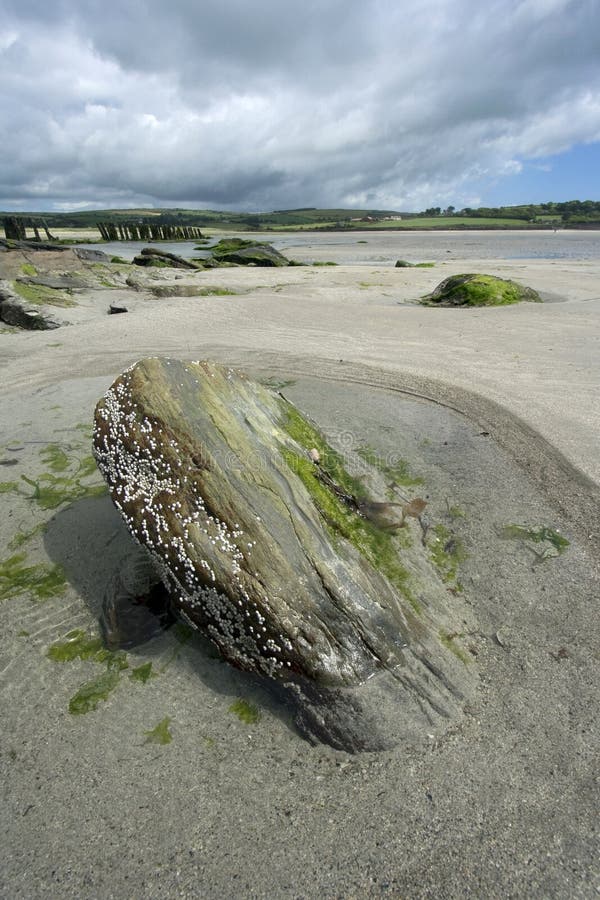 Southern Ireland beach