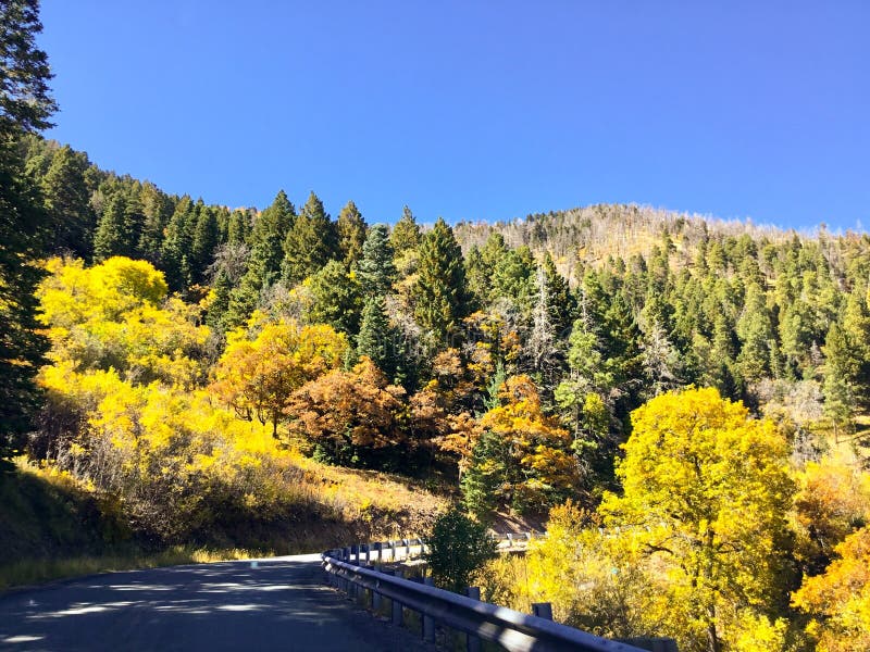 Southern NM Sacramento Mountain Foliage stock photography Southern NM Sacramento Mountain Foliage stock photography