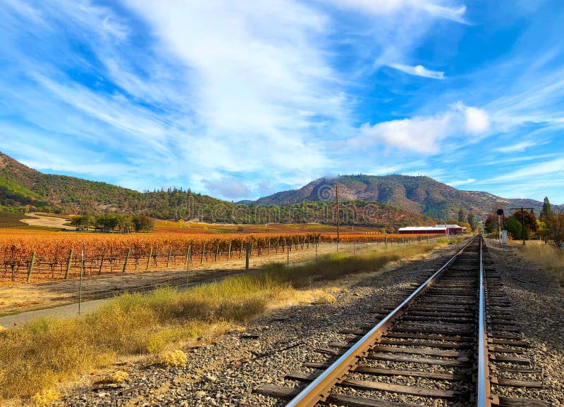 Southern Oregon Vineyard in Autumn