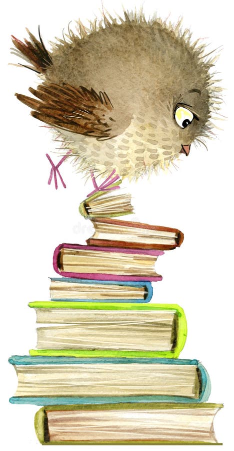 sowa śliczna sowa akwarela lasu ptak Szkolna ilustracja Kreskówka ptak ilustracji sowa śliczna sowa akwarela lasu ptak Szkolna ilustracja Kreskówka ptak ilustracji