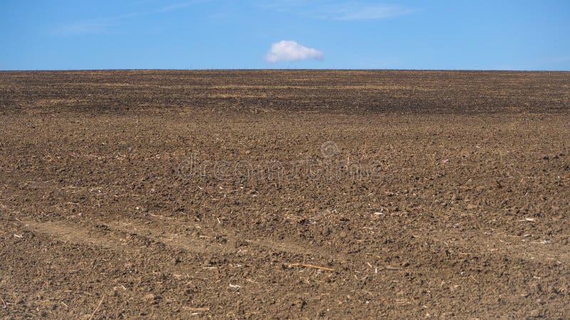 The sown field of the earth to the horizon. stock image The sown field of the earth to the horizon. stock image