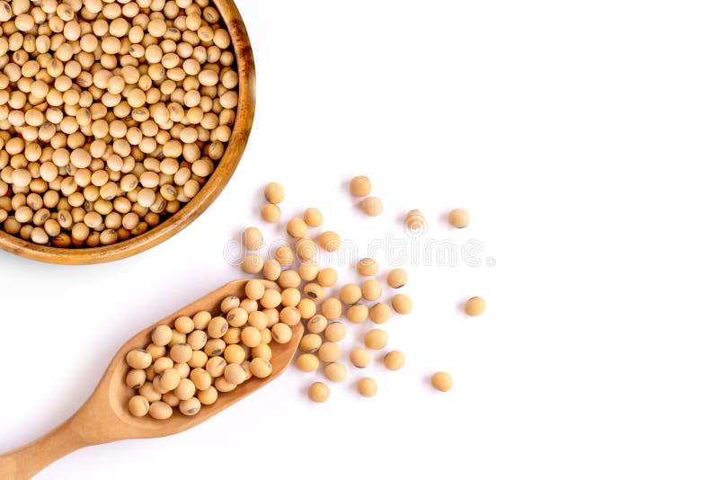 Closeup soy beans in wooden bowl and scoop isolated on white background. Overhead view. Flat lay.