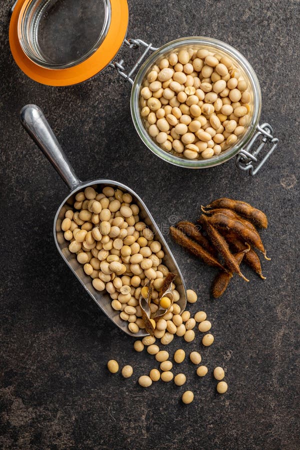 Soy Beans. Dried Soybean Pod in Scoop on Black Table Stock Photo