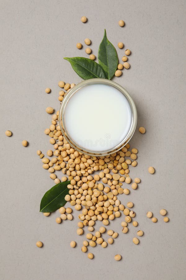 Soy Milk and Soy, Composition for Healthy Food Concept Stock Image