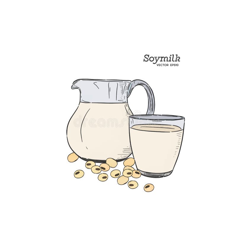 Soy Milk, hand draw vector stock vector. Illustration of agriculture