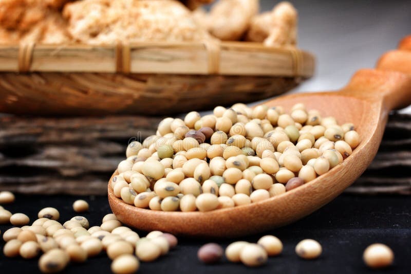 Soy protein stock photo. Image of health, protein, ingredient 34311226