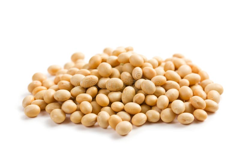Soya beans on white background stock images