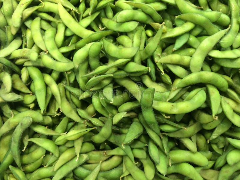 Download Soya fasola obraz stock. Obraz złożonej z świeży, maharashtra - 57670597