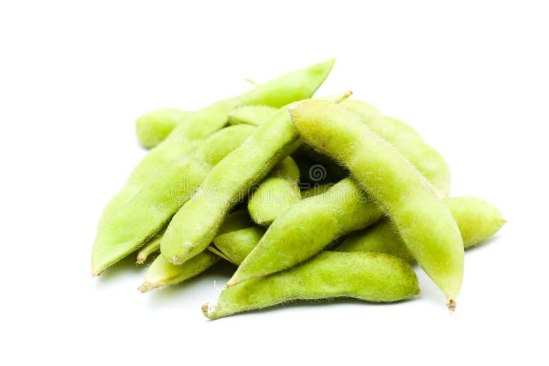 Soybean stock photo. Image of freshness, legume, japanese 26513090