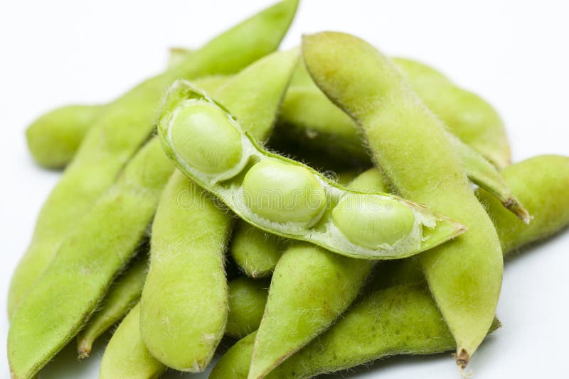 Soybean. On white background stock images