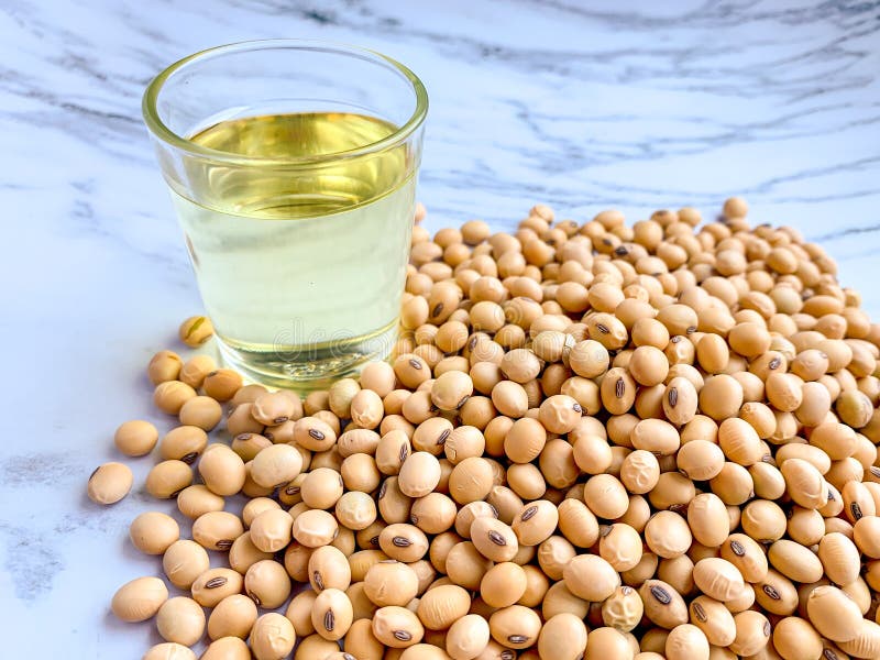 Soybean Oil in a Glass Placed beside the Soybean Seed Stack on a White