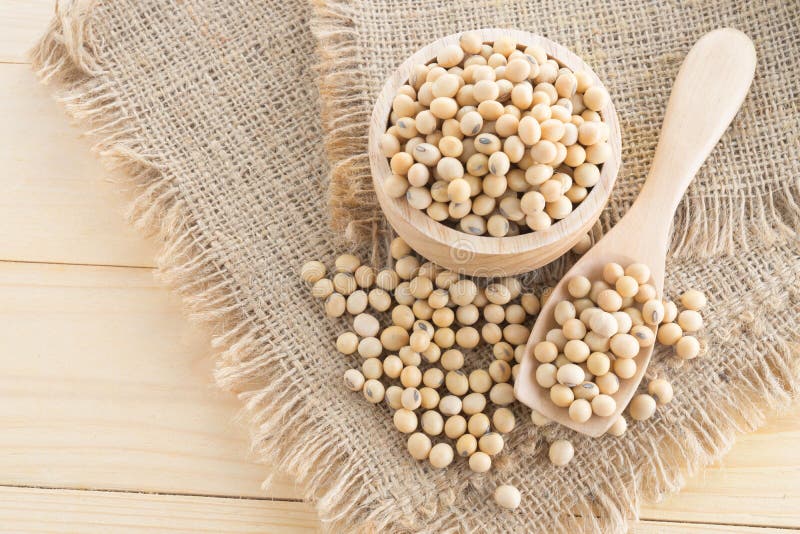 Soybean in wood cup stock image. Image of agriculture - 108643293