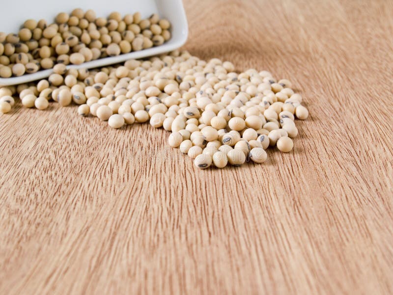 Soybeans stock image. Image of ingredient, soya, nutritious 12044689
