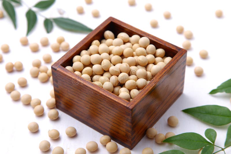 Soybeans stock image. Image of soybeans, cooking, japanese 43902203
