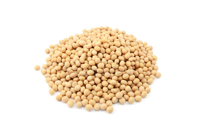 Soybeans, or soya beans stock image. Image of protein 58709293