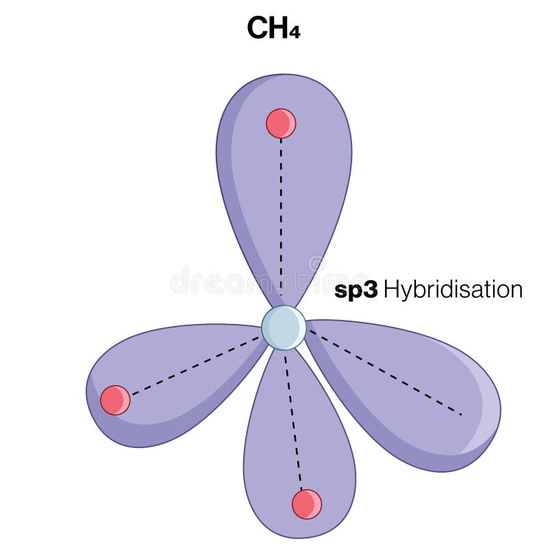 Sp3-hybridisering illustrerade molekylstrukturen på vit bakgrund vektor illustrationer