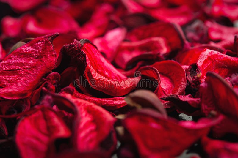 Symbol of love and Valentine's Day. Spa background of dried petals of red roses