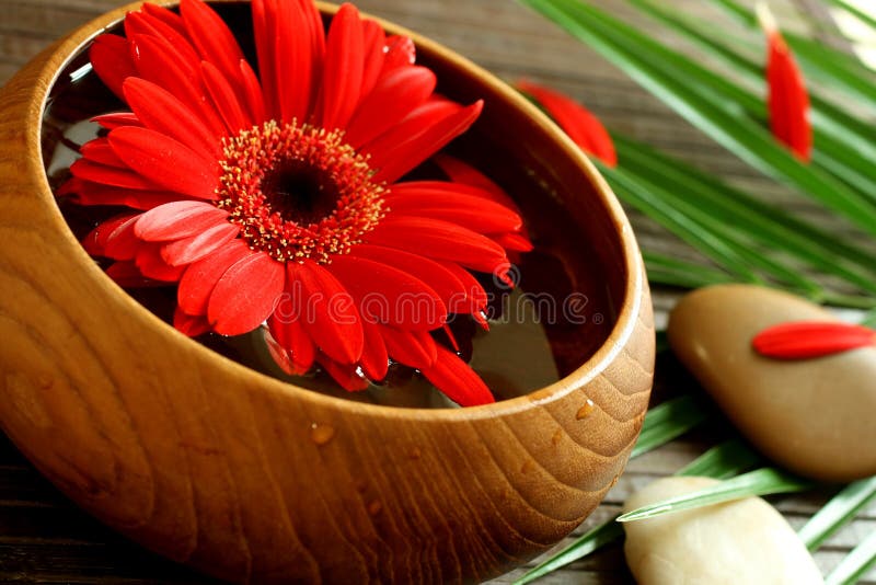 Spa composition of stones and flowers in bowl