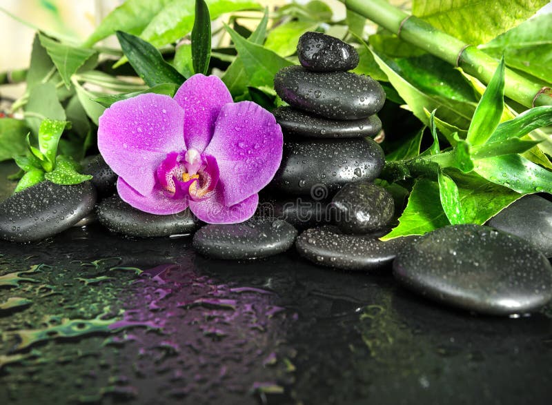 Spa Concept With Zen Stones Orchid Flower And Bamboo Stock Image