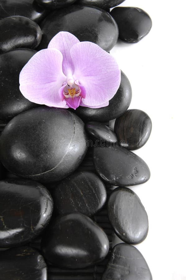 Spa flower and zen stones