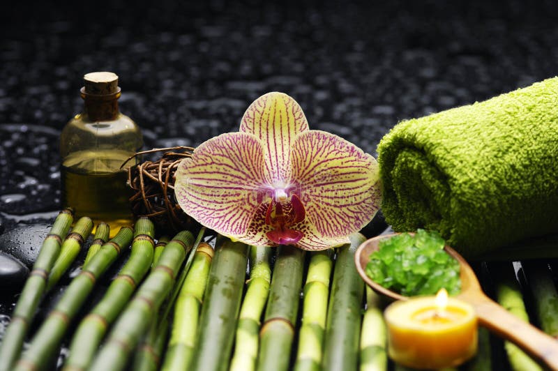Spa och wellness royaltyfria foton Spa och wellness royaltyfria foton