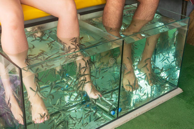 Buy Drift Wood Bonsai Aquarium Extra Large Aquascape Driftwood Fish Tank  Decorations Online in India - Etsy