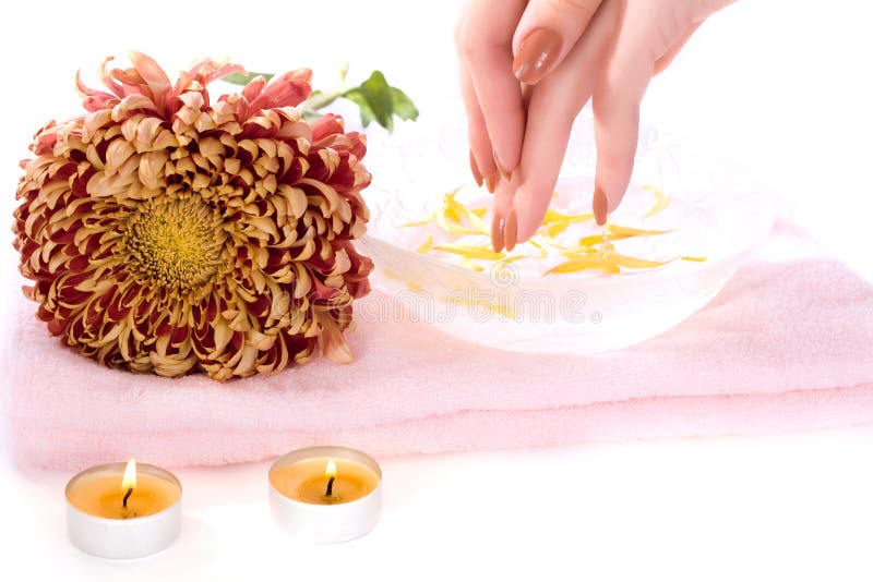 Spa salon stock photo. Image of aromatherapy, nails, chrysanthemum 21808226