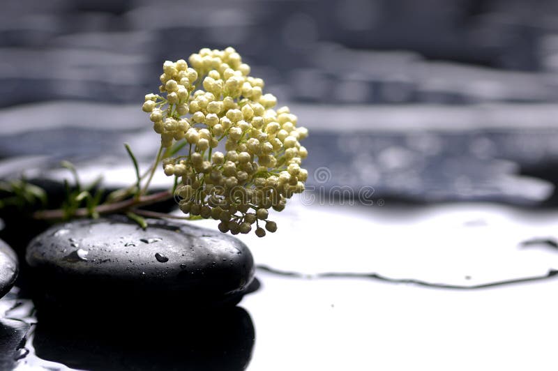 Spa still life