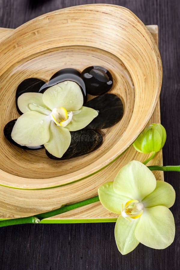 Spa Stones and Green Orchid with Water Drops. Stock Image Image of