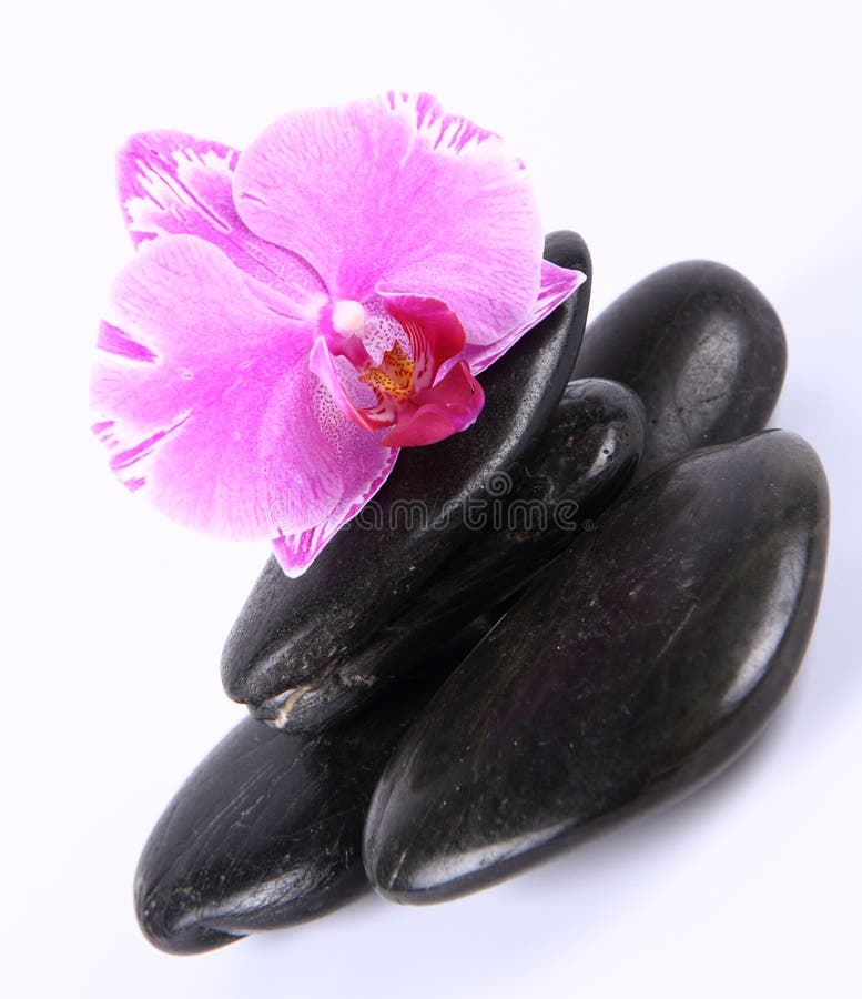 Spa stones and orchid