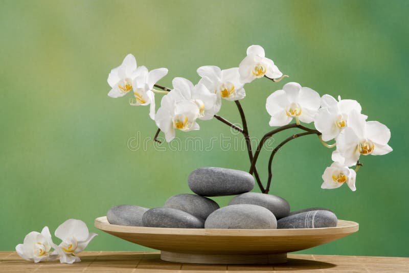 Spa Stones with orchid