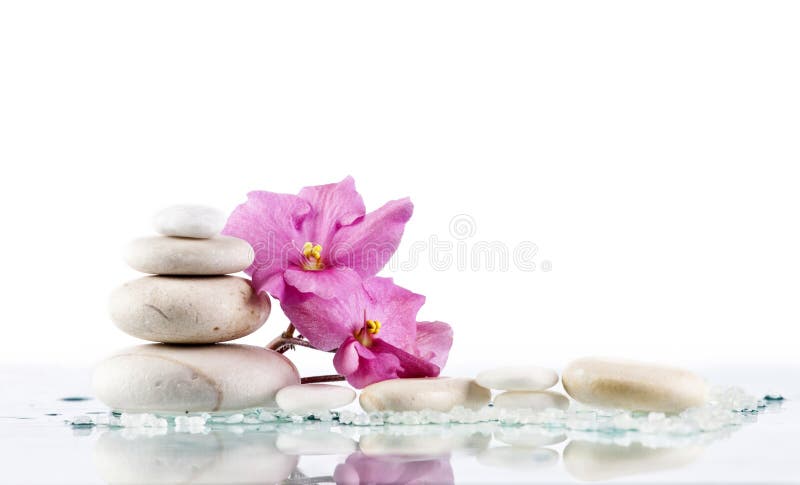 Spa Stones and Pink Flower on White Background Stock Image - Image of  bright, group: 31030803