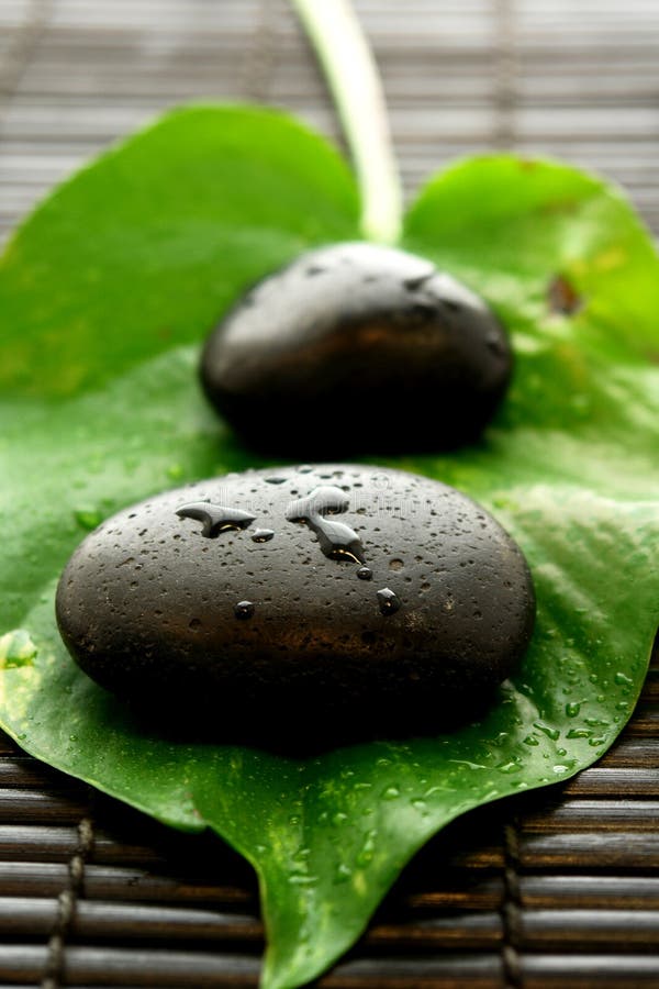 SPA zen στοκ φωτογραφίες SPA zen στοκ φωτογραφίες