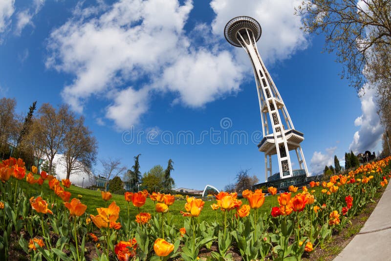 Space Needle Tower with Orange Tulips, Seattle Editorial Stock Photo