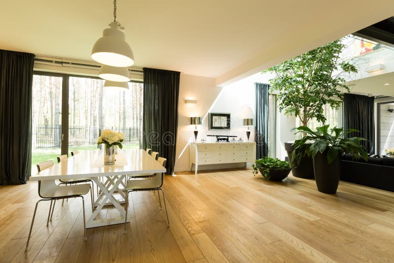 Spacious room with table and plants stock photo