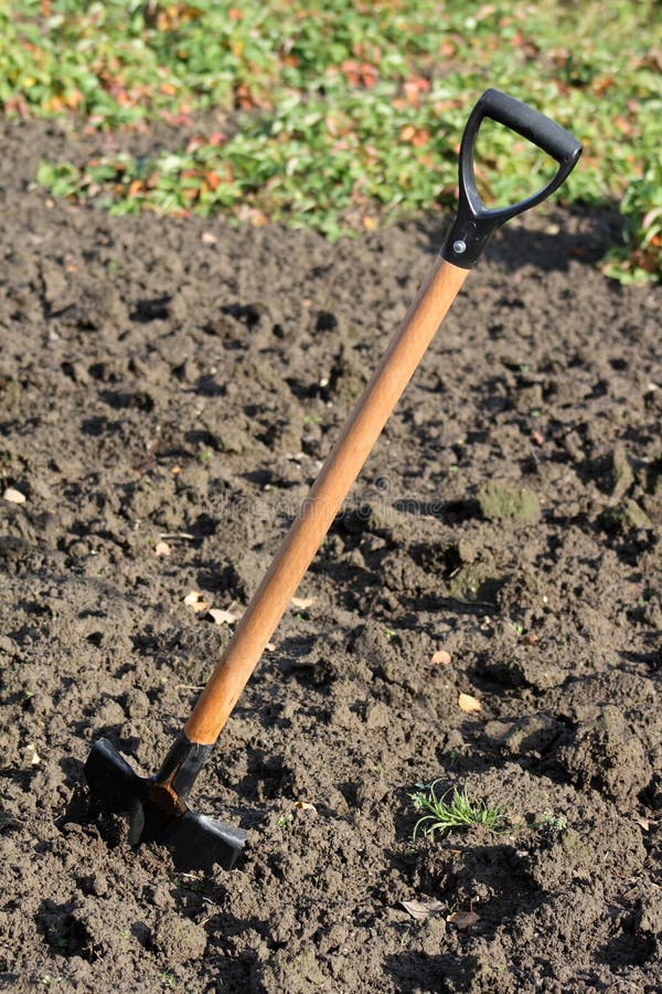 Spade in ground stock photo. Image of spade, gardening 7059784